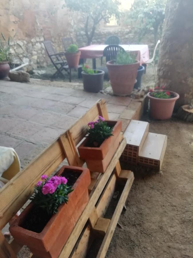 Masia Cal Lari Country house
