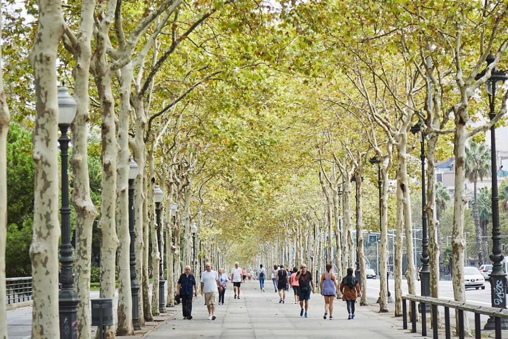 Centric And Spacious, Excellent For Families Apartment Barcelona