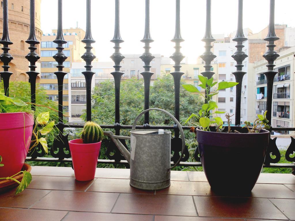 Fabrizzio's Petit Albergue