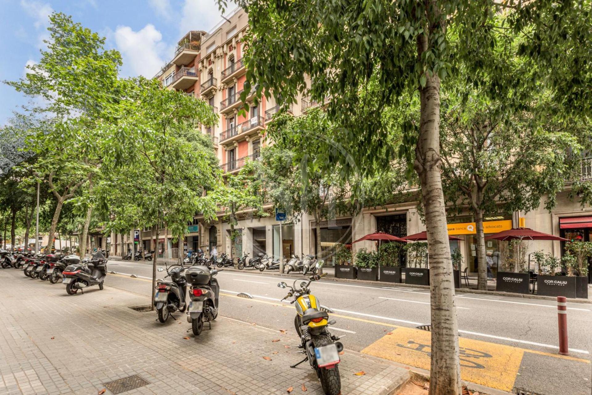 Espacioso Cerca De Diagonal Apartment