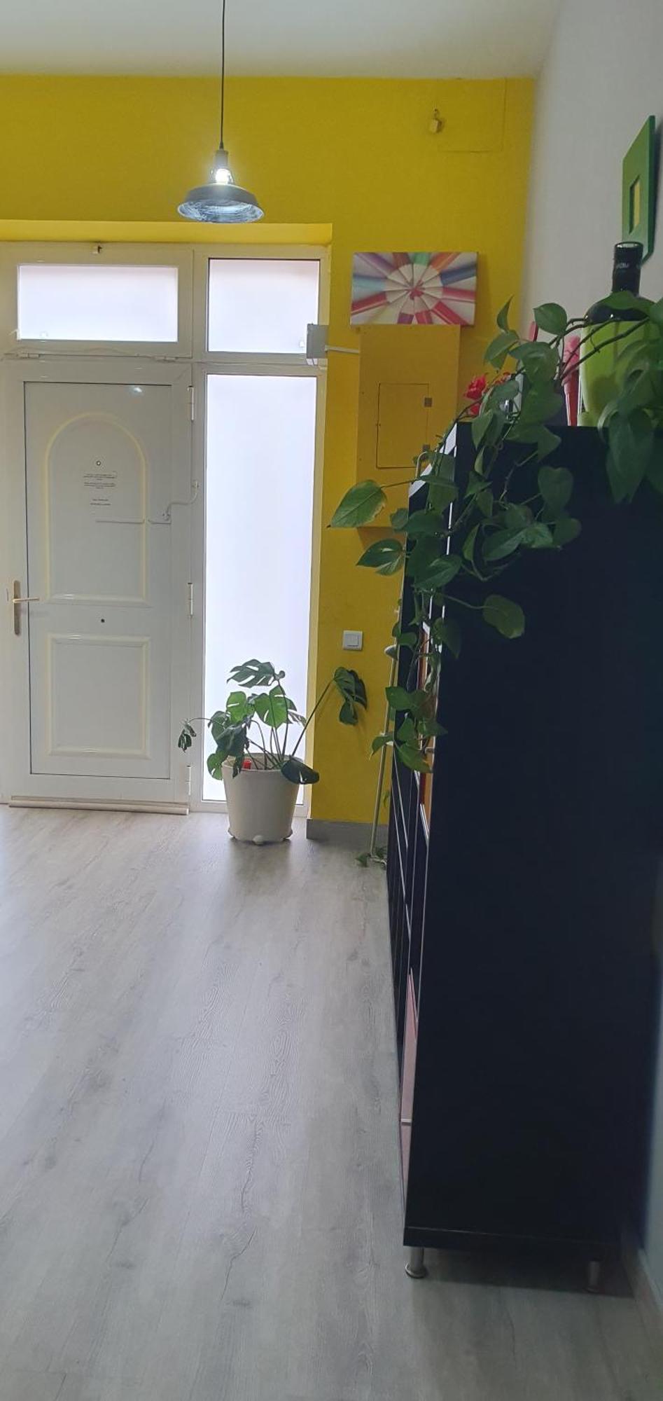 Rosellon Apartamento