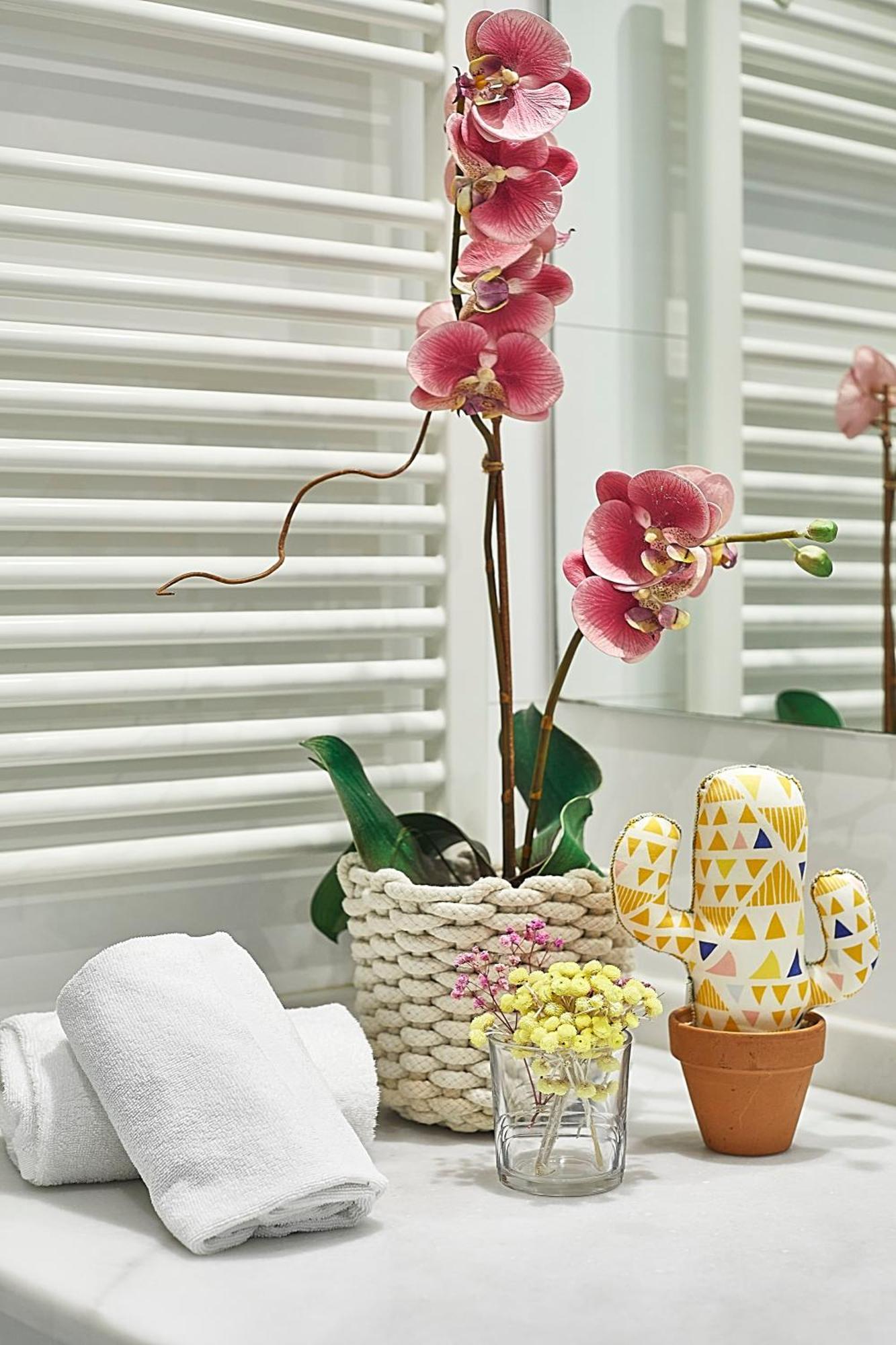 Apartment Bbarcelona Brusi Flat *