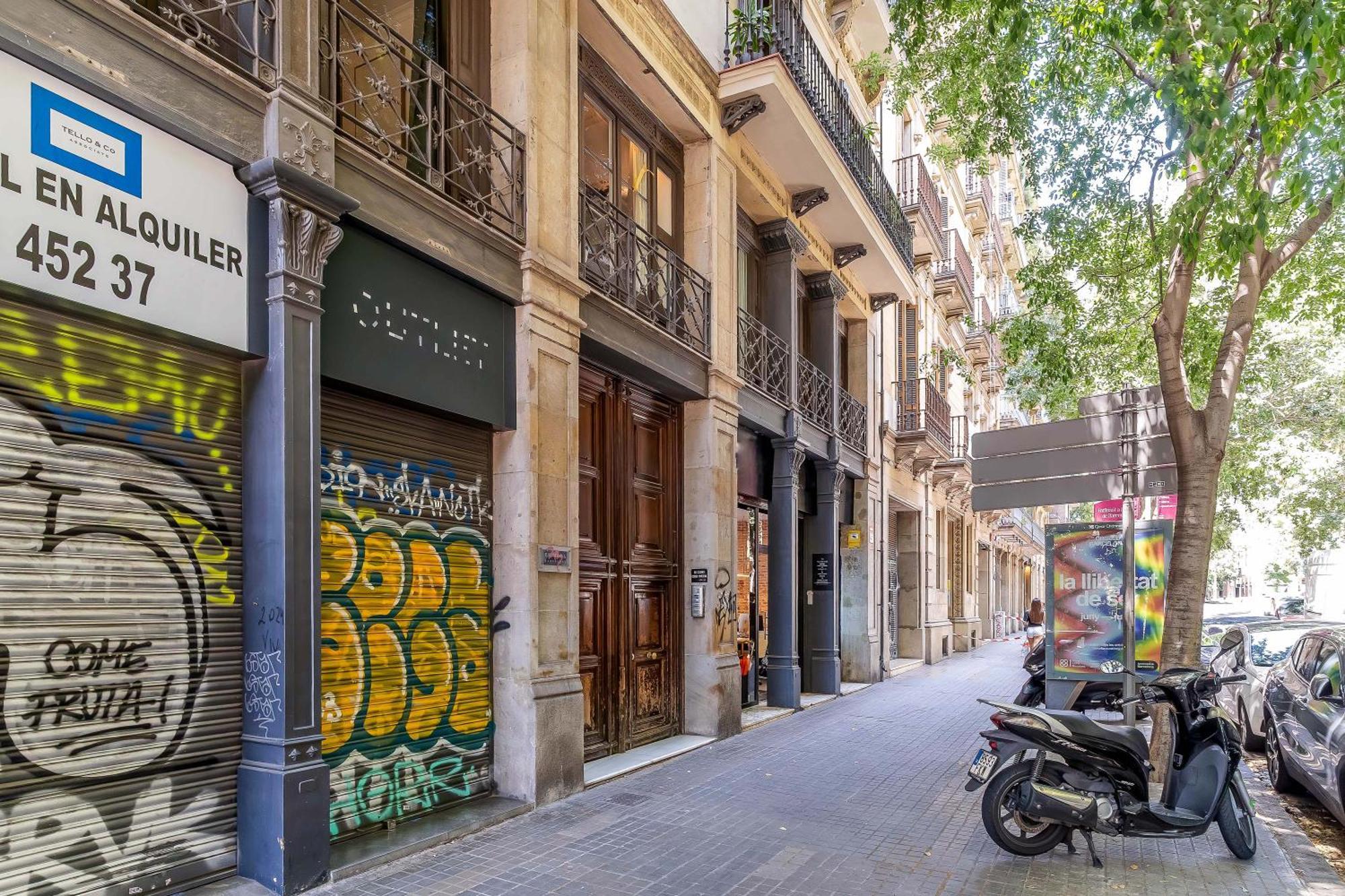 Canela Homes Charming Apartment