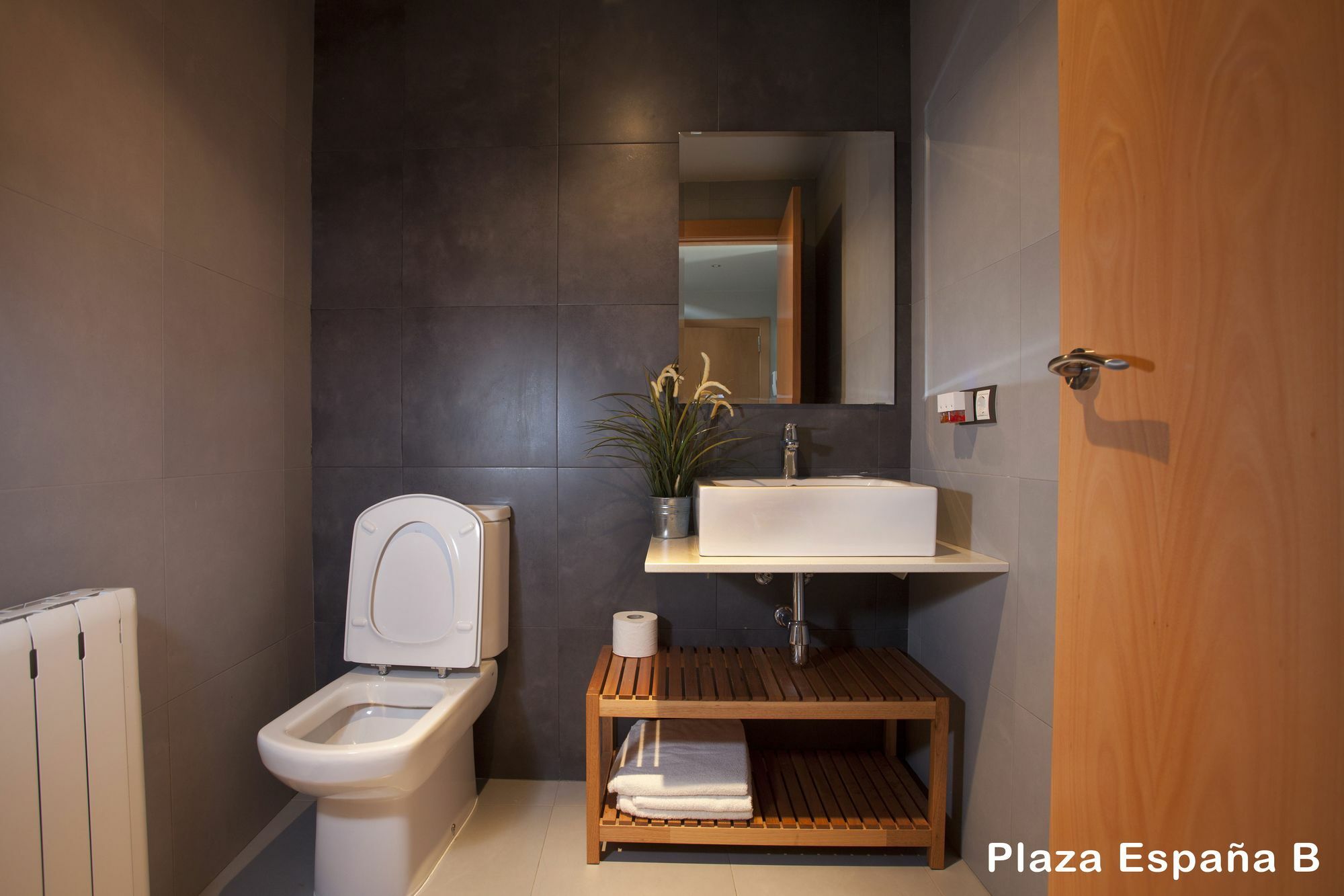 Apartment Plaza Espana Barcelona