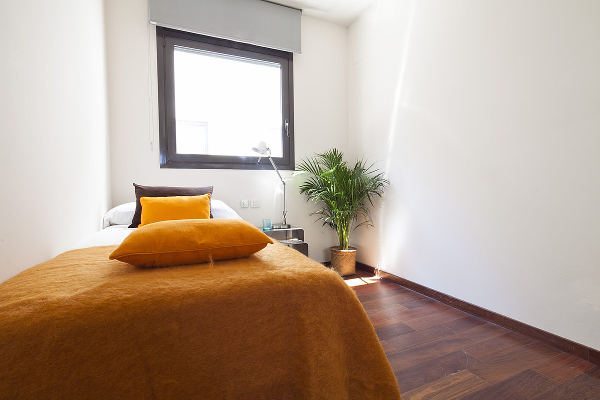 Apartamento My Space Pool With Terrace Barcelona