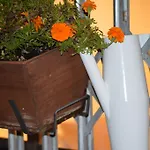 Apartment Pla Dels Cirerers