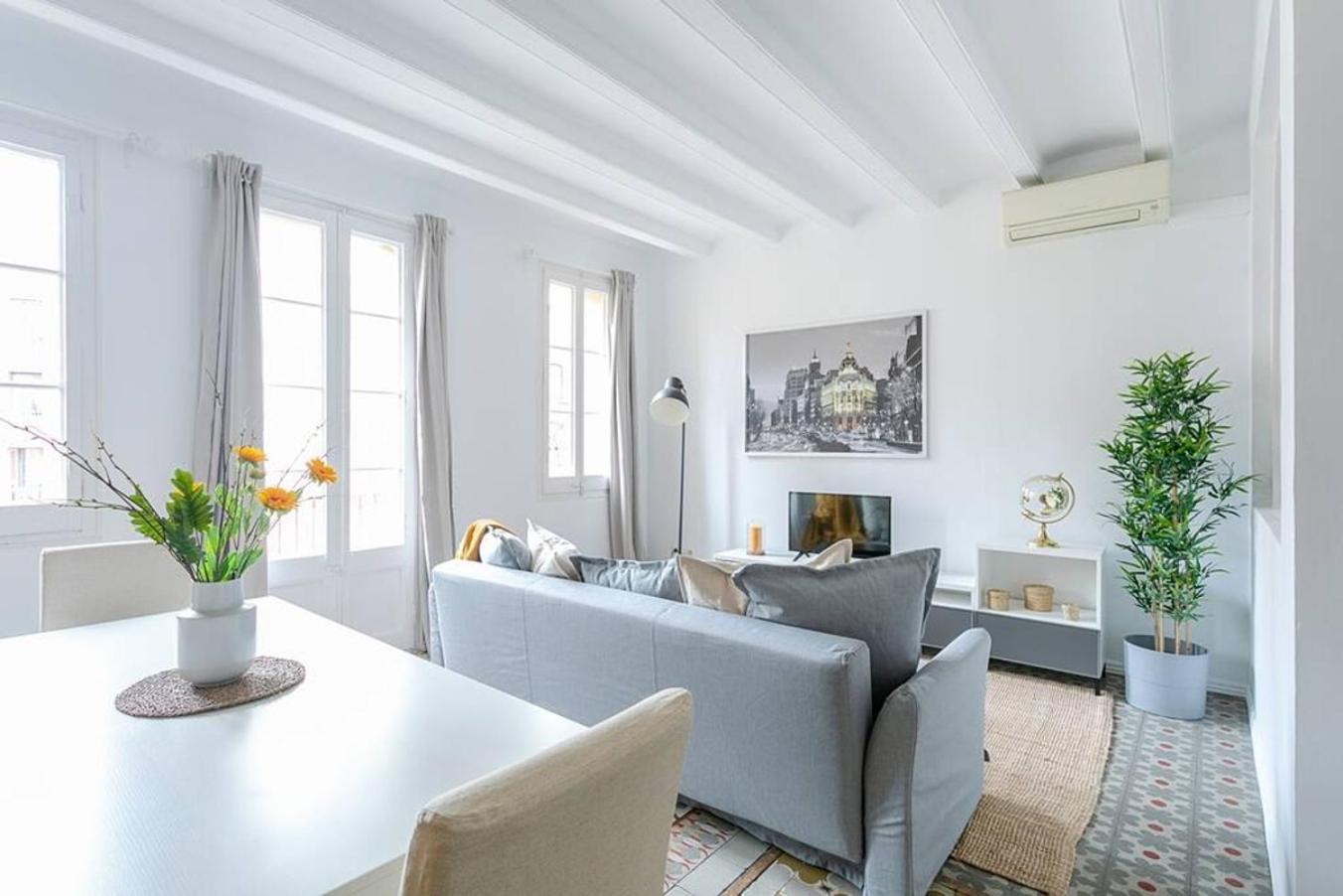 Exquisite&historic Flat With Rooftop Apartment