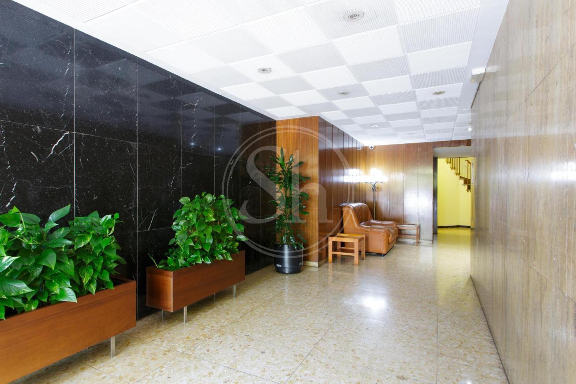 Apartment Amplio En *