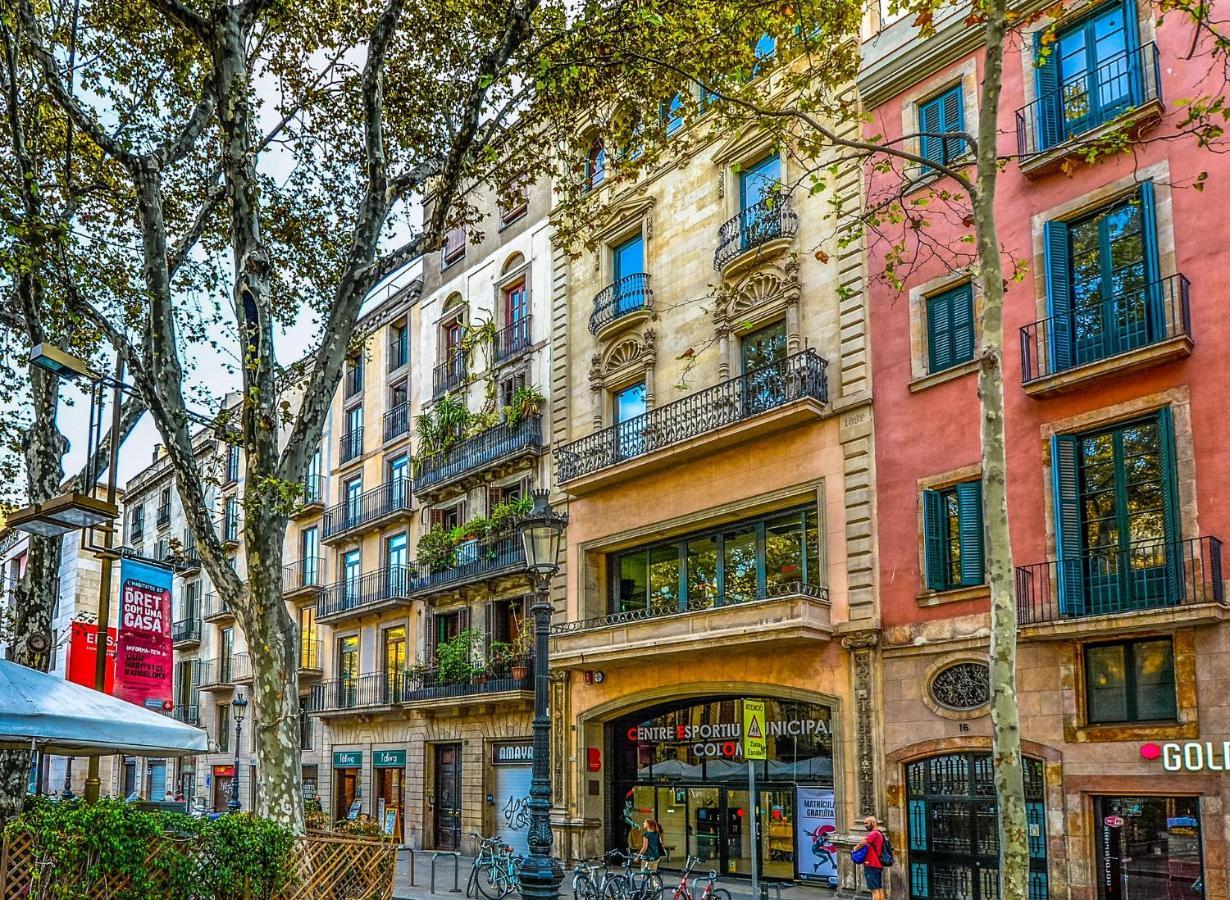 Felip Ii - Spacious And Quiet & One With Private Terrace Apartment Barcelona