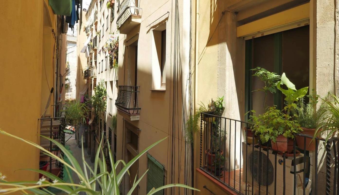 Apartment Blanqueria 01