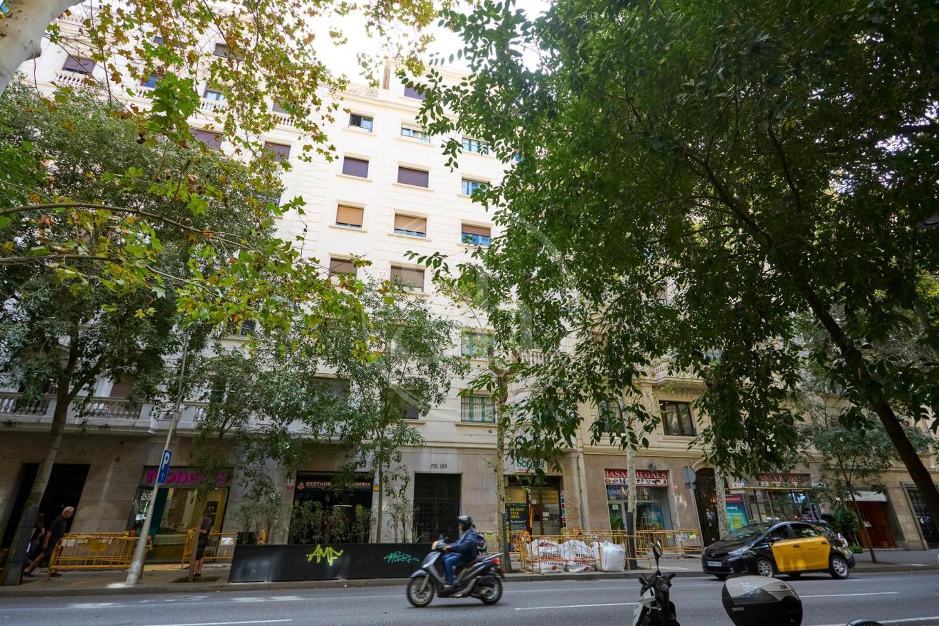 Apartment Luminescent Valencia *