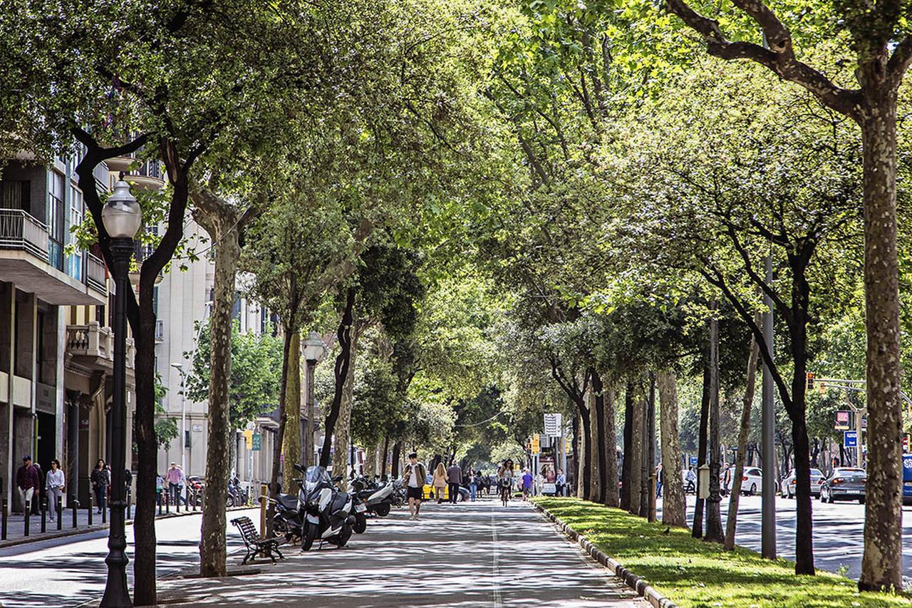 Appartement Sweet Inn - Bailen Barcelona