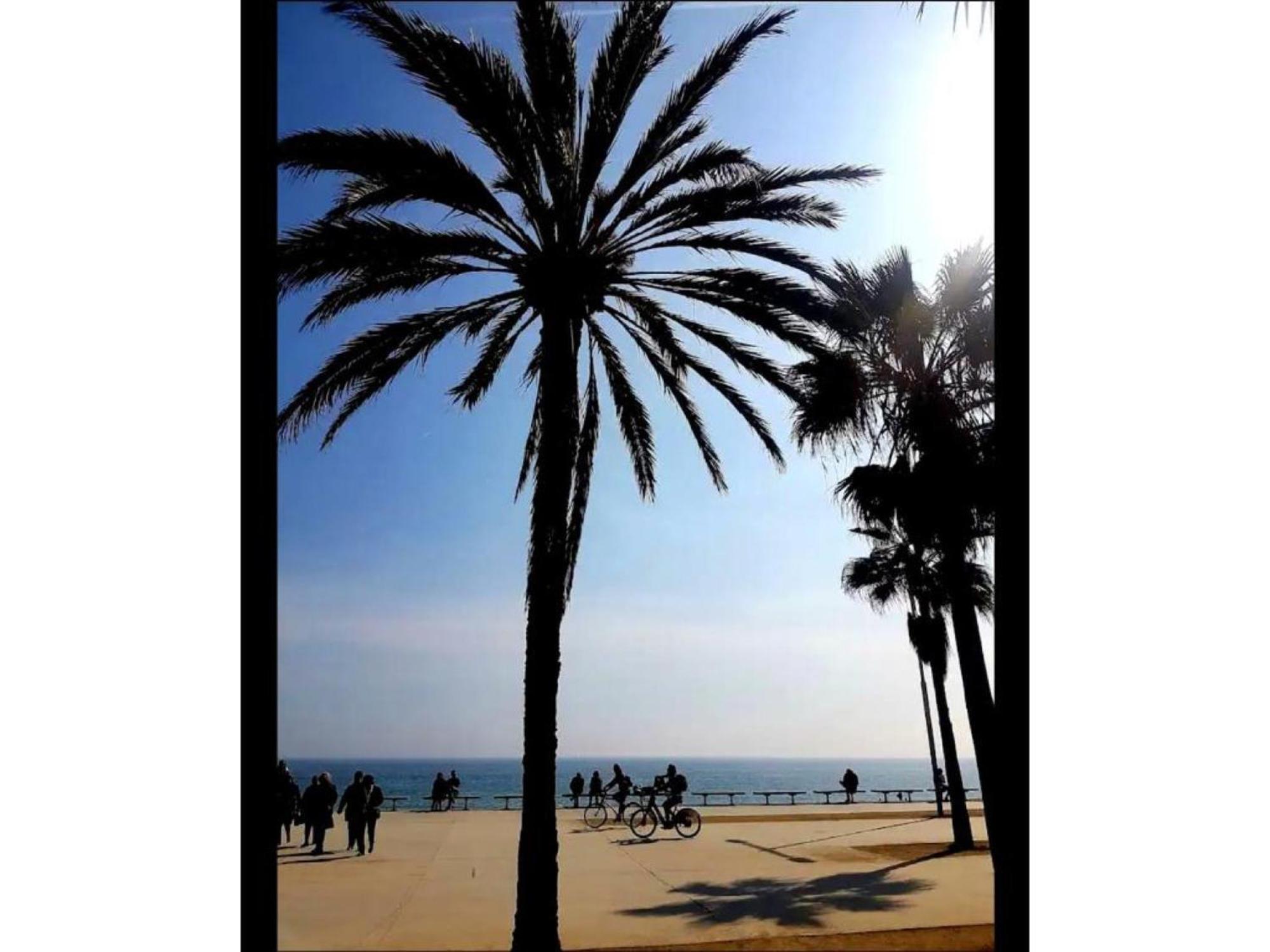 Comfort Playa Poblenou Apartamento