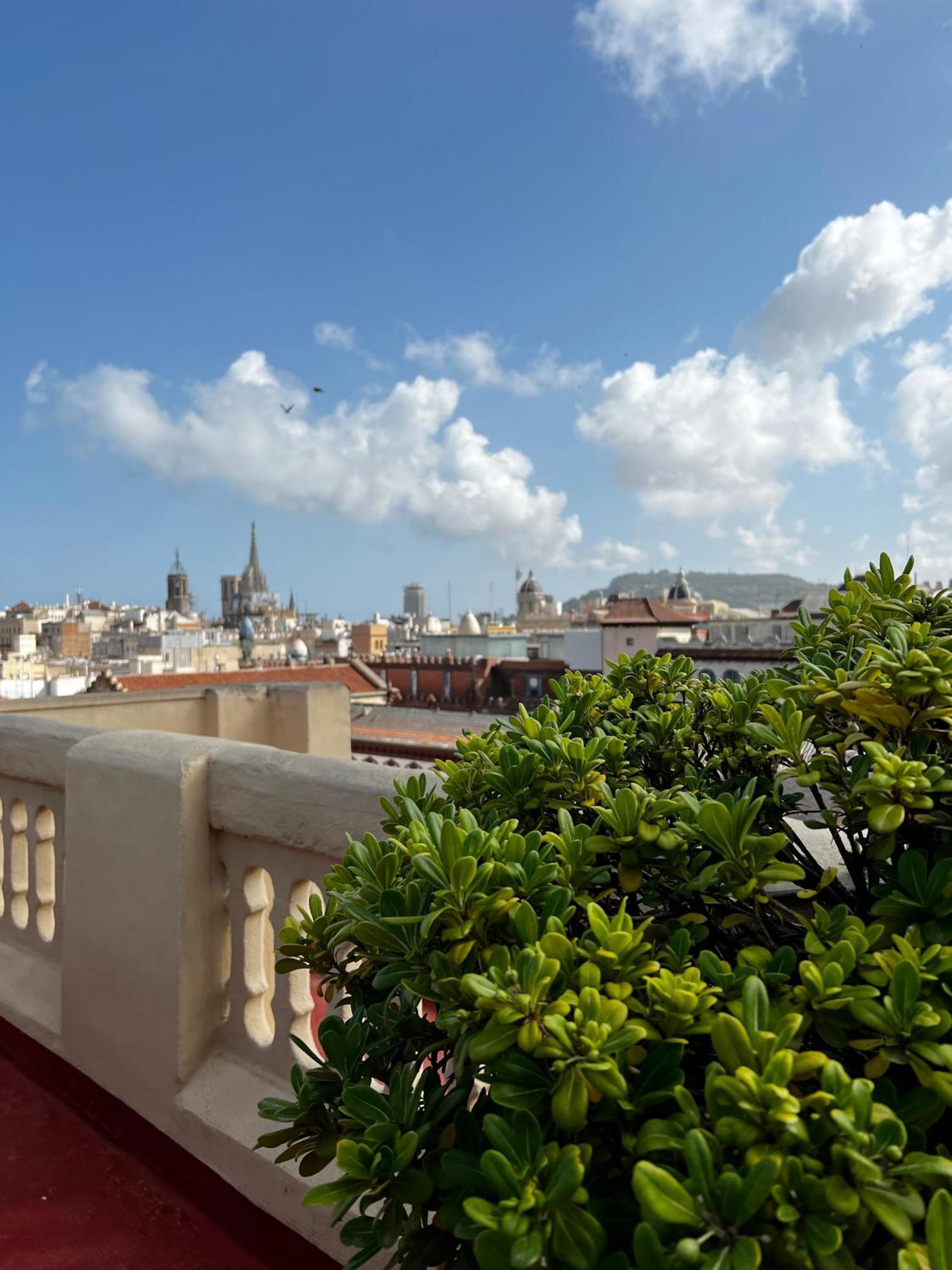 Sunny Penthouse With Sea View Apartment Barcelona