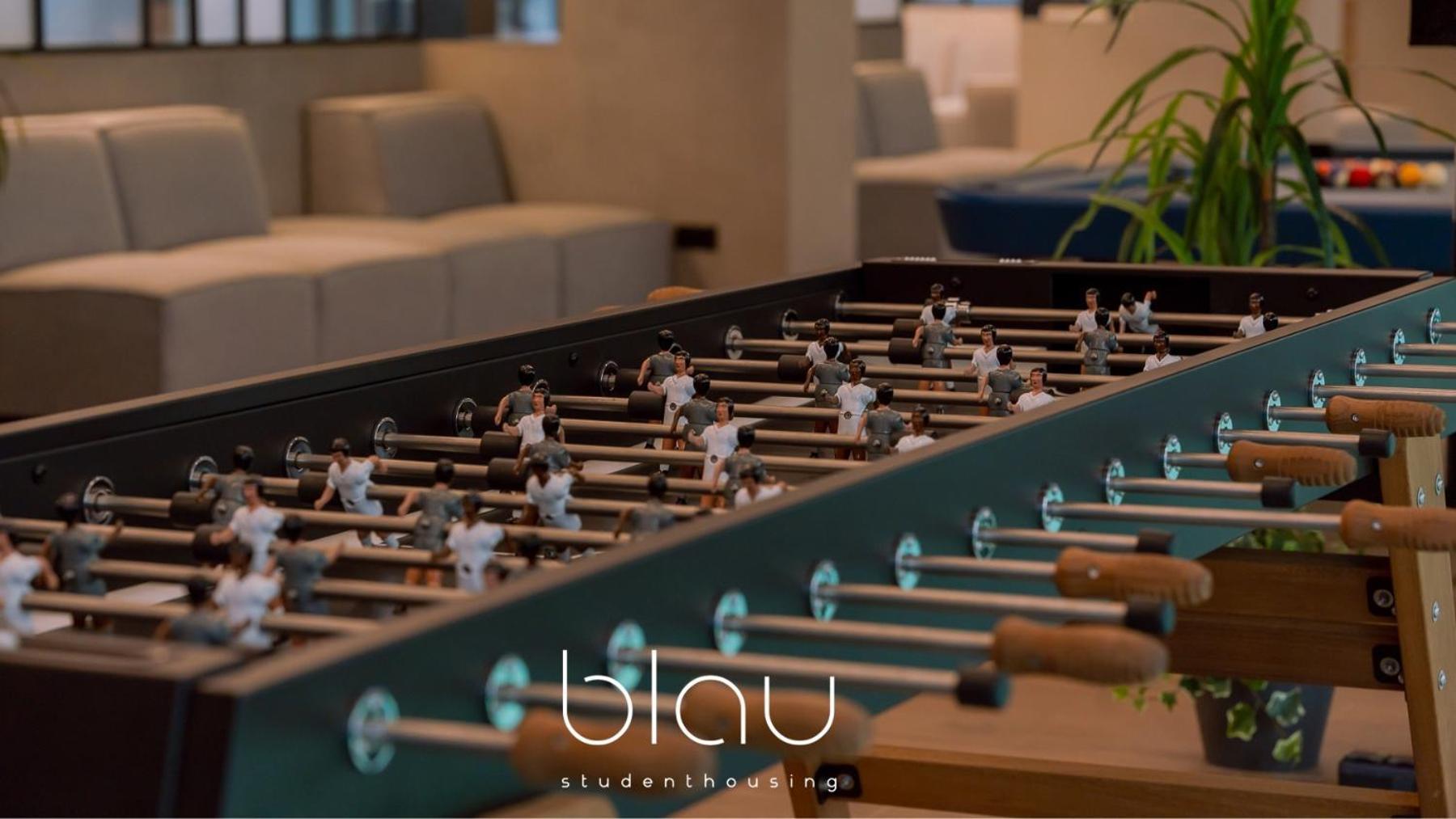 Apartment Blau Student Housing - Students Only *
