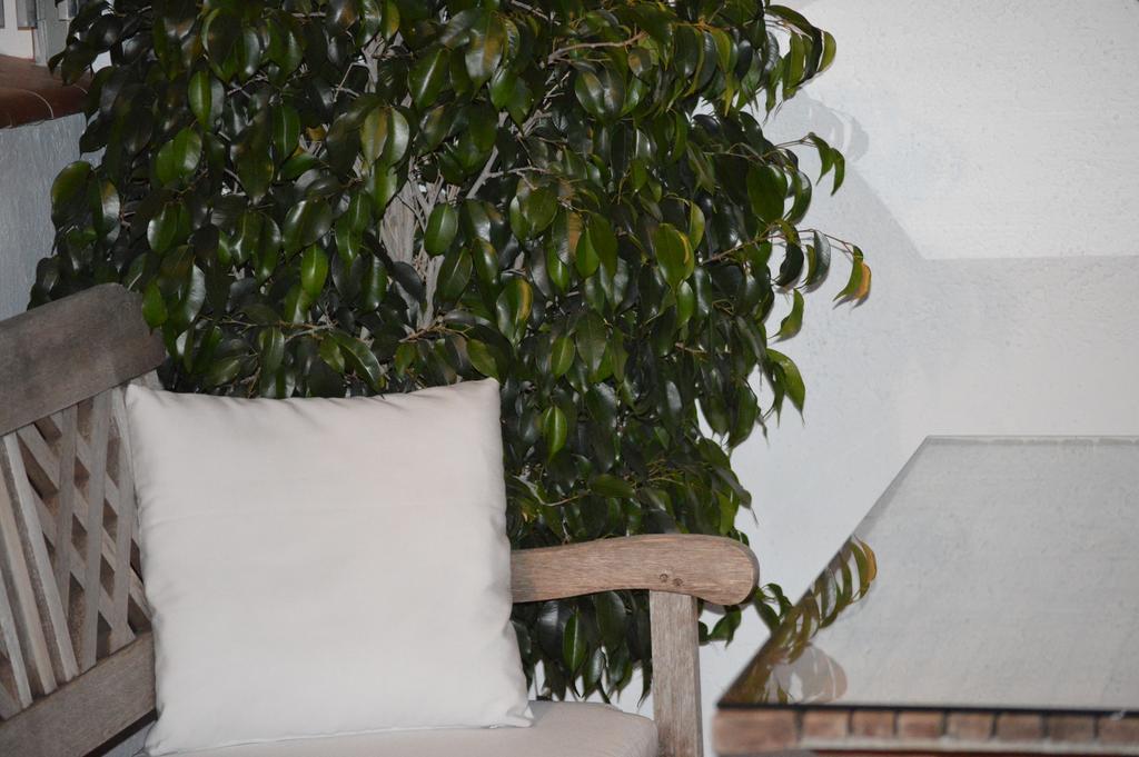 Pla Dels Cirerers Apartment *